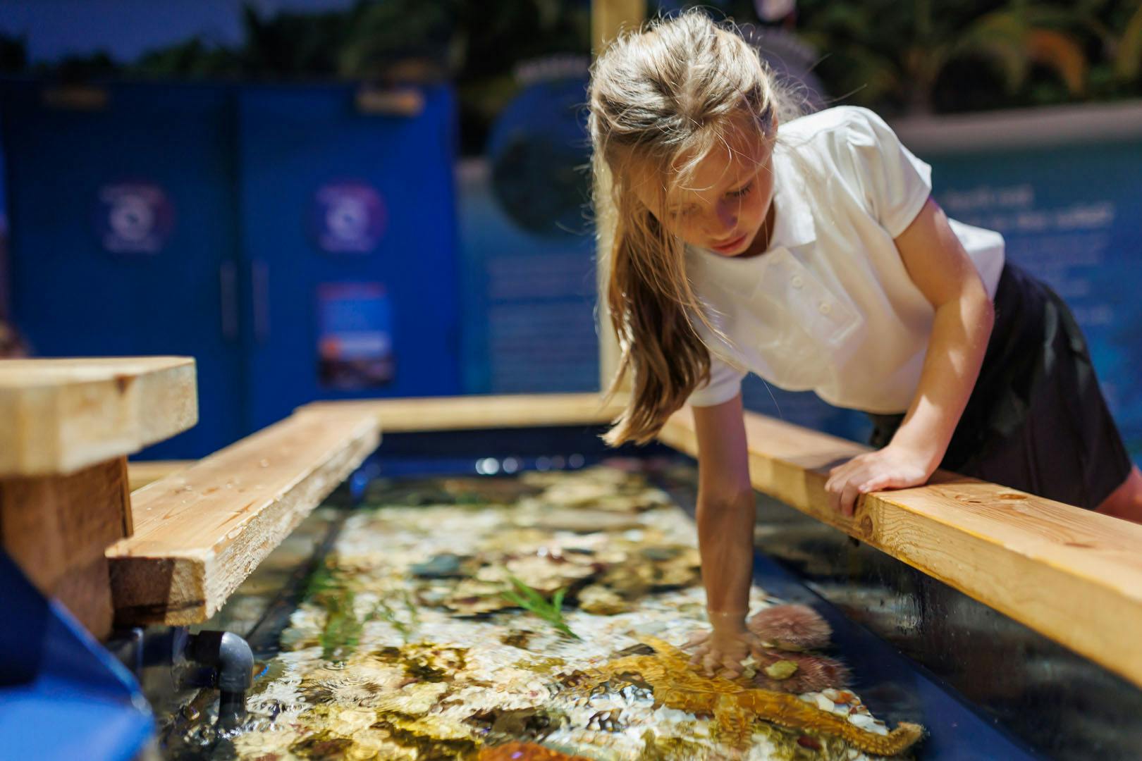 SEA LIFE Loch Lomond