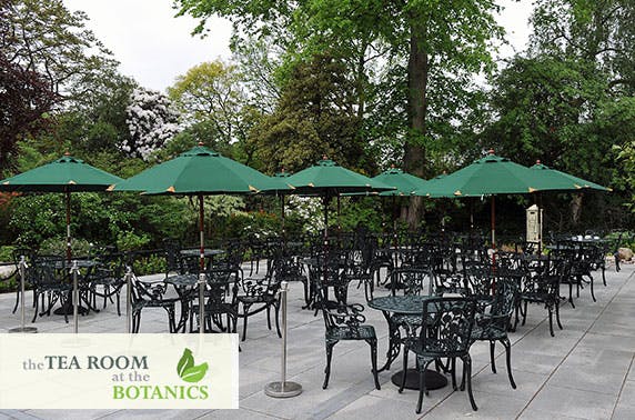 The Tea Room at the Botanics