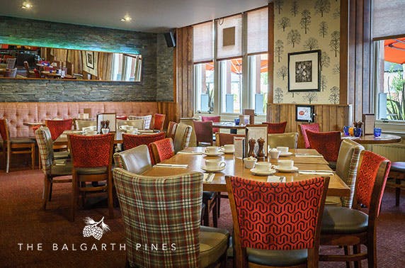 The Balgarth Pines