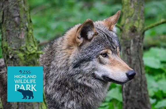 The Highland Wildlife Park