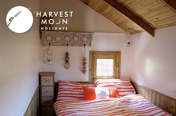 Harvest Moon Holidays