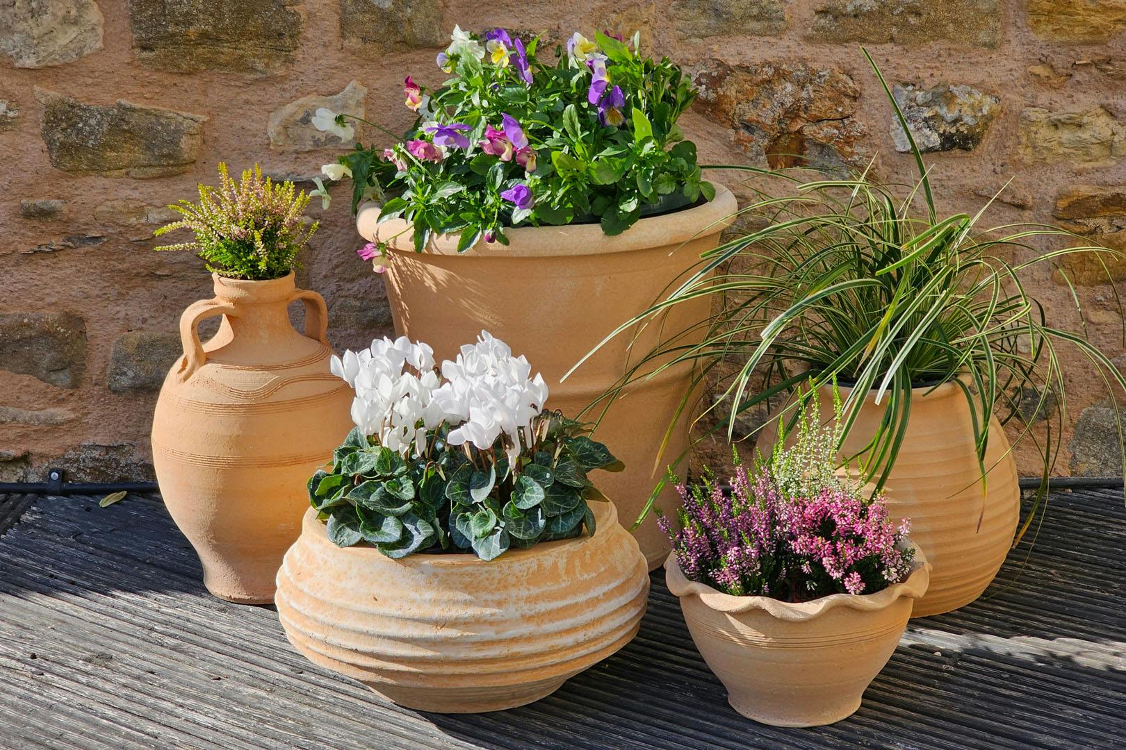 The National Gardening & Outdoor Living Show 2025