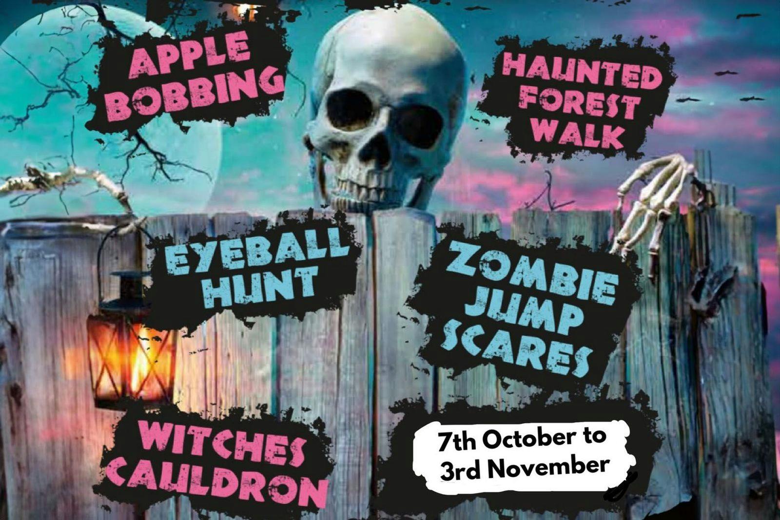 Auchingarrich Wildlife and Adventure Park