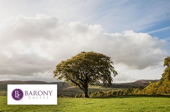 Barony Castle
