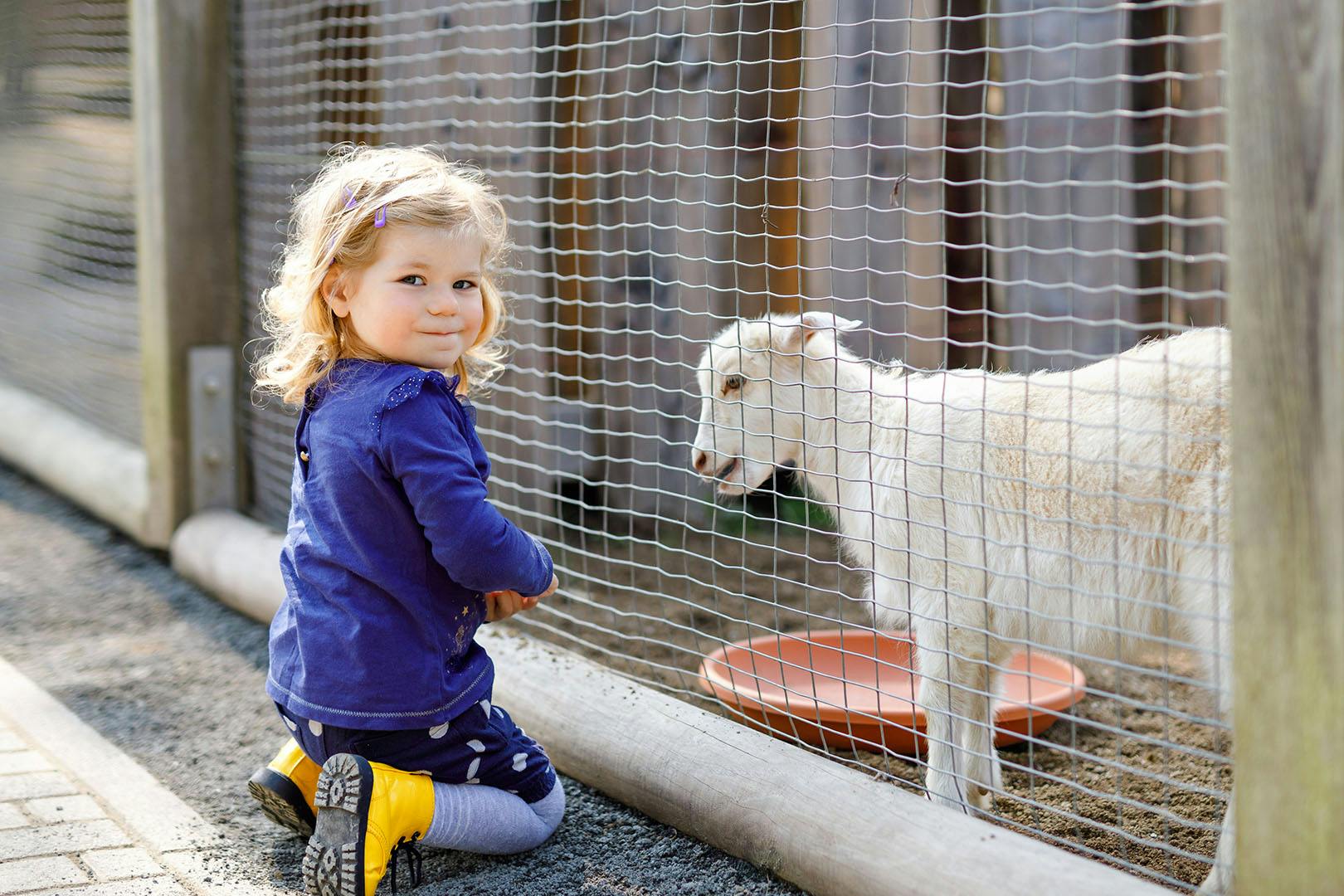 Loch Lomond Faerie Trail