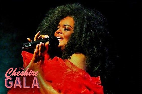 The Cheshire Gala Festival