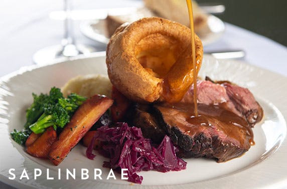 Saplinbrae Hotel & Lodges
