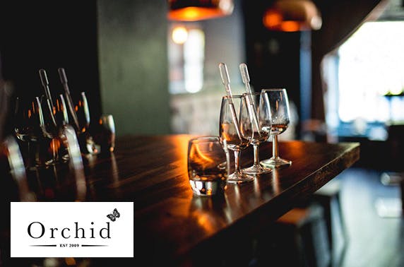 Orchid