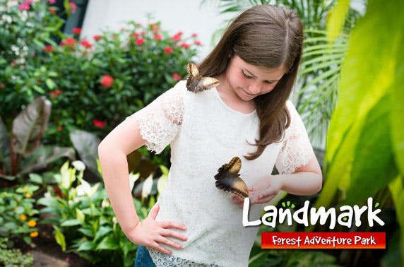 Landmark Forest Adventure Park