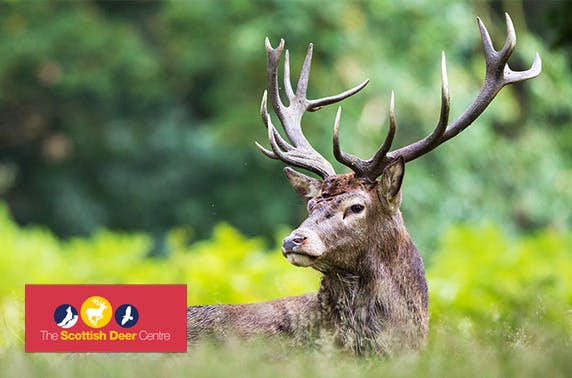 The Scottish Deer Centre