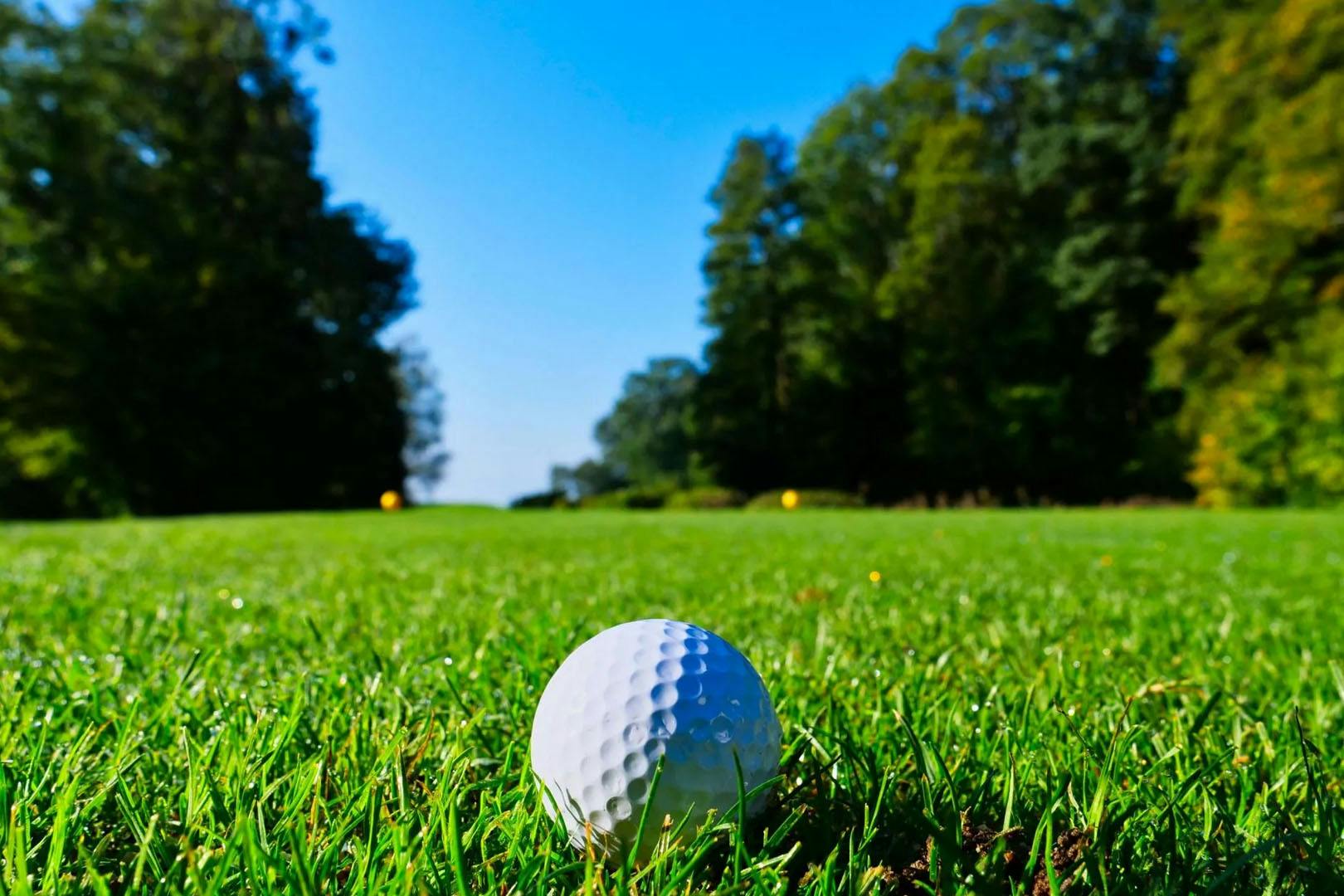 Balfron Golf Society