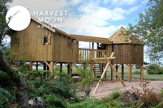 Harvest Moon Holidays