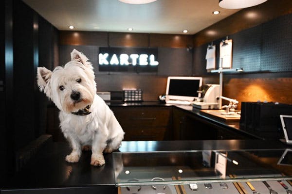 Kartel Scotland