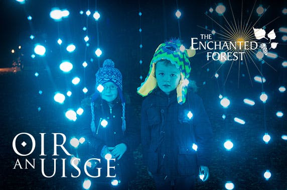 Enchanted Forest