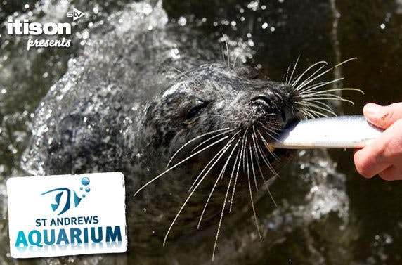St Andrews Aquarium