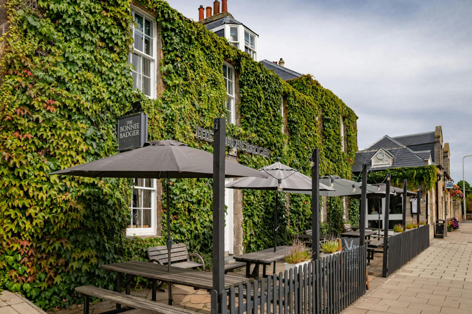 5* The Bonnie Badger