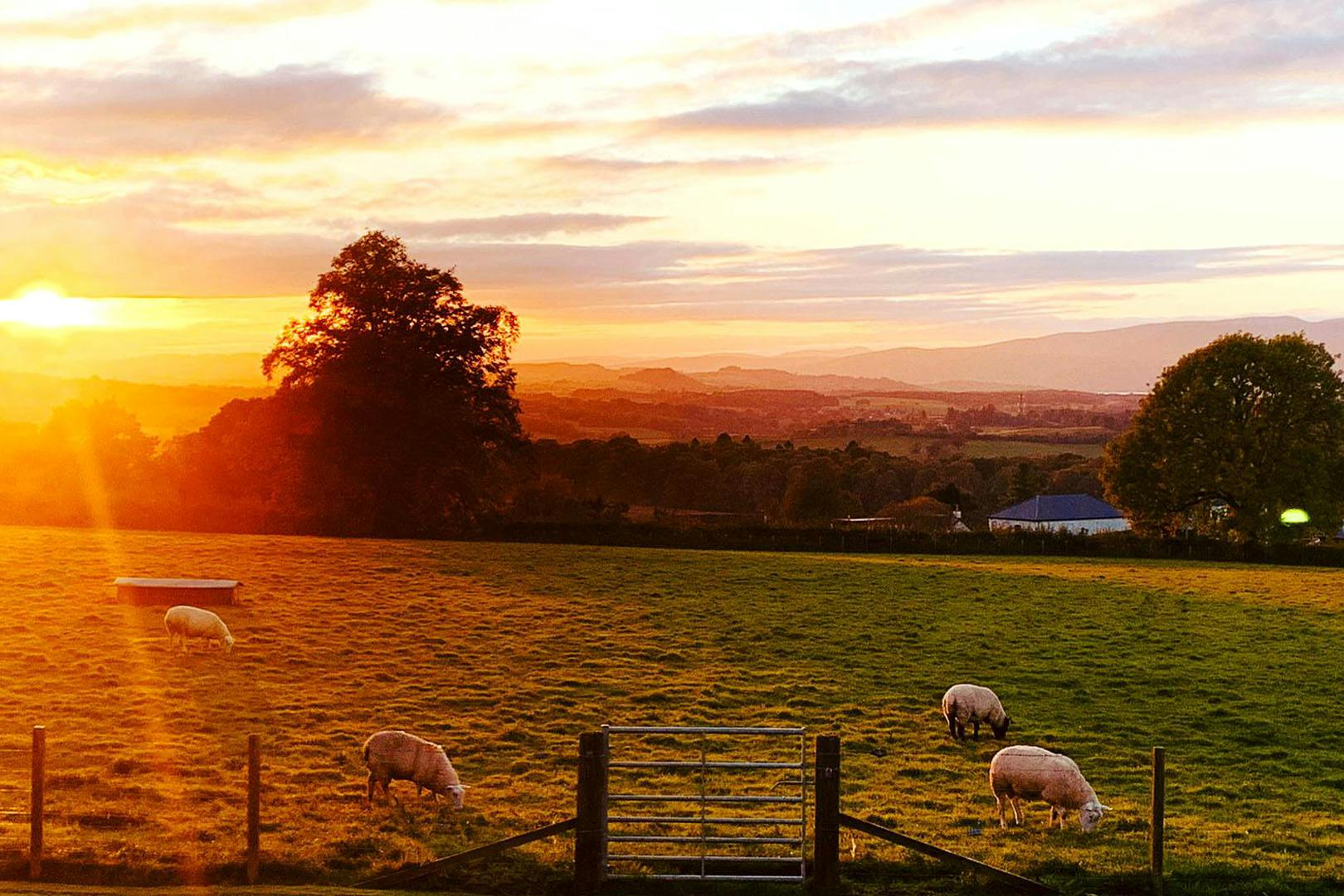 The Kitchen Window Killearn