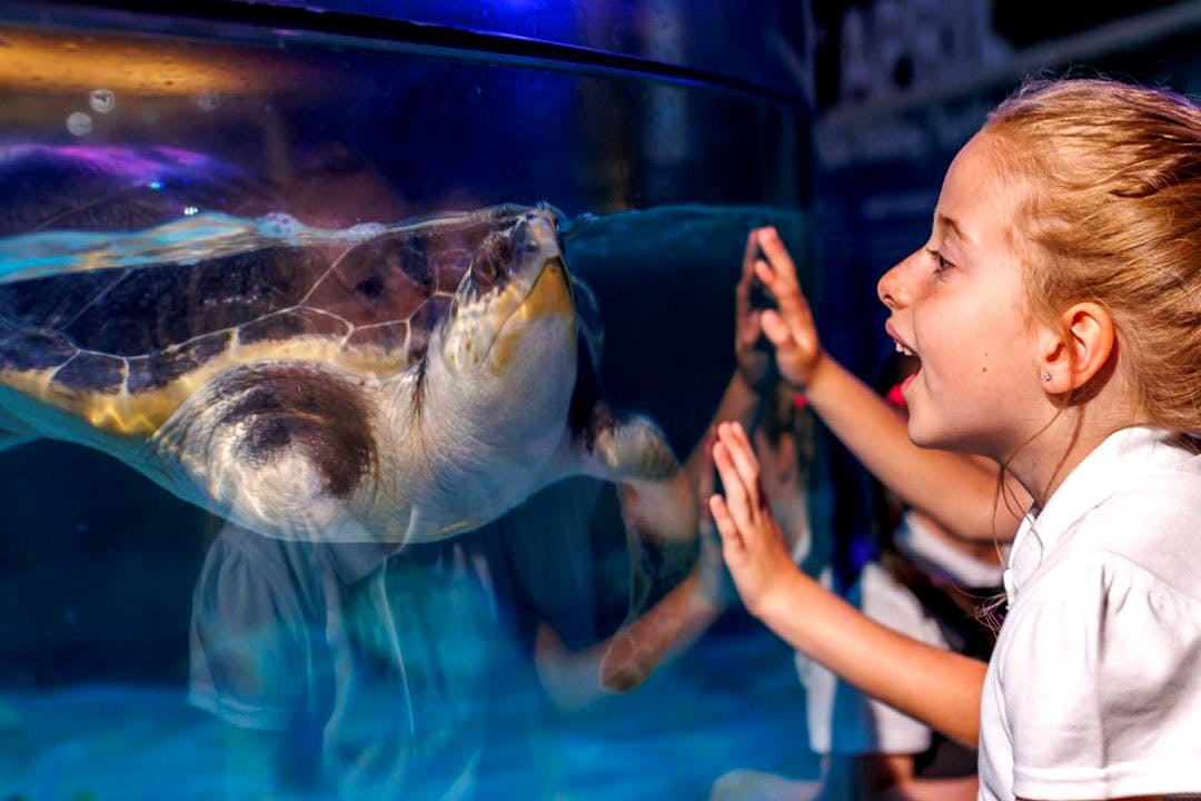 SEA LIFE Loch Lomond