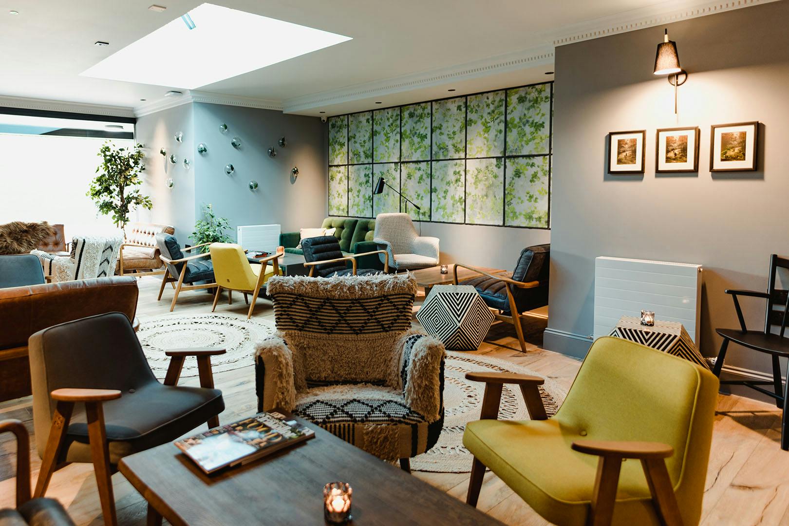 5* The Bonnie Badger