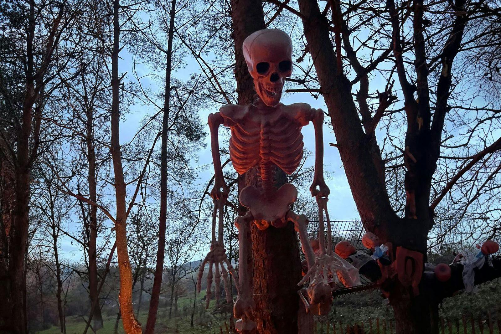 Auchingarrich Wildlife and Adventure Park