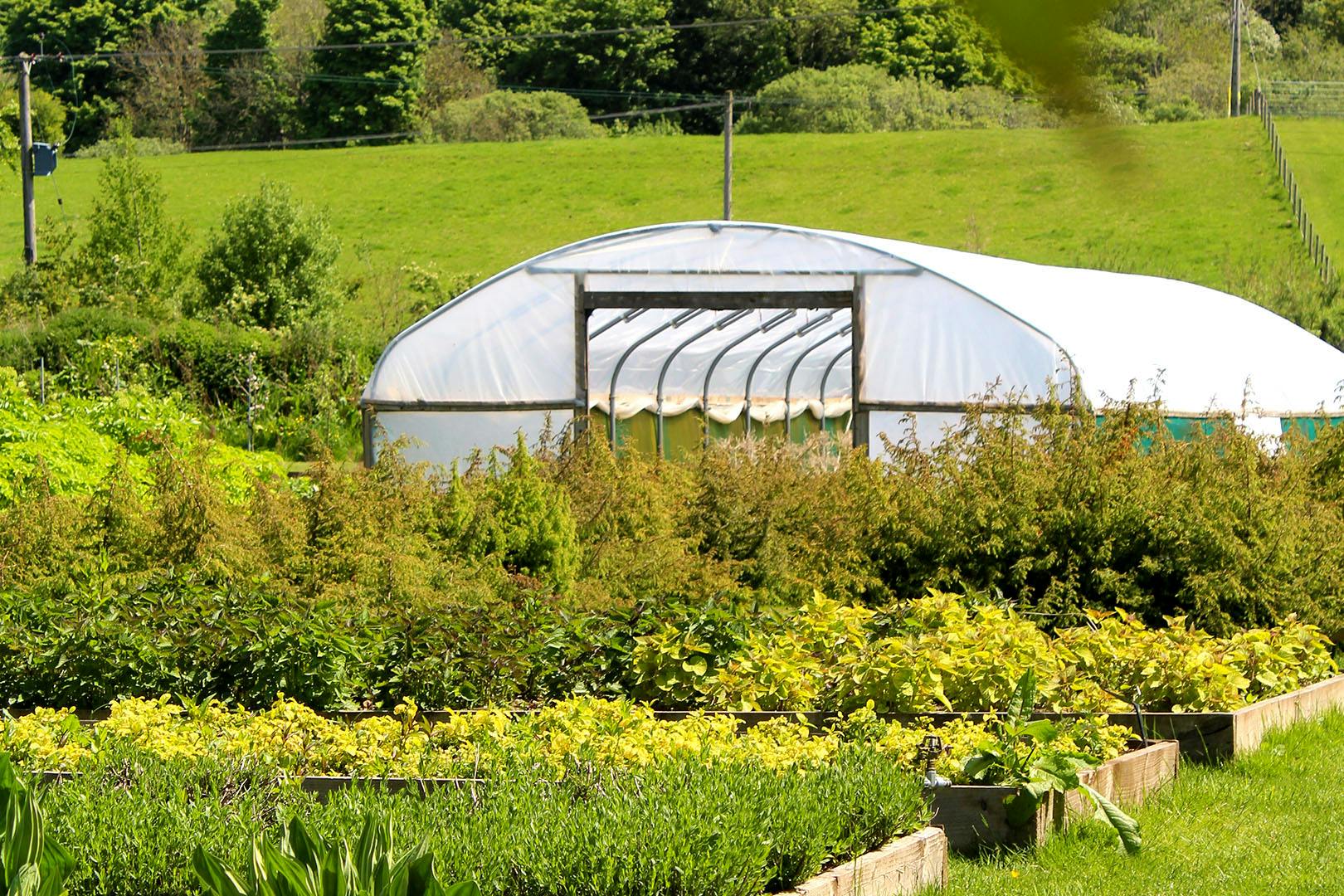 Secret Garden Distillery