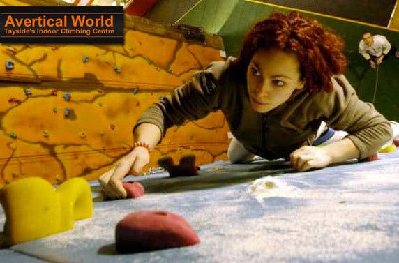 Avertical World