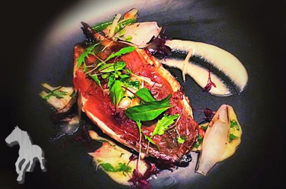 Bath Street Palomino