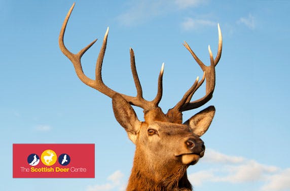 The Scottish Deer Centre