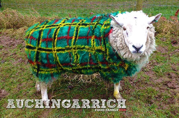 Auchingarrich Wildlife Centre