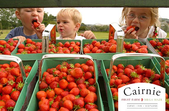 Cairnie Fruit Farm