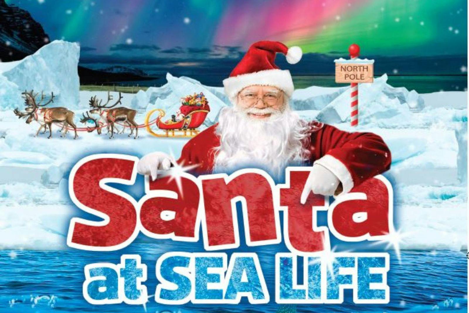 SEA LIFE Loch Lomond
