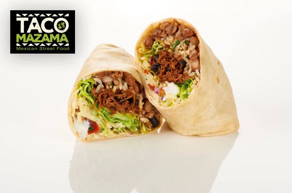 Taco Mazama