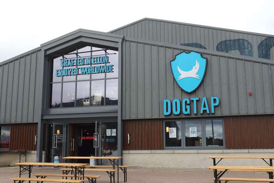 BrewDog Dogtap