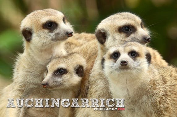 Auchingarrich Wildlife Centre