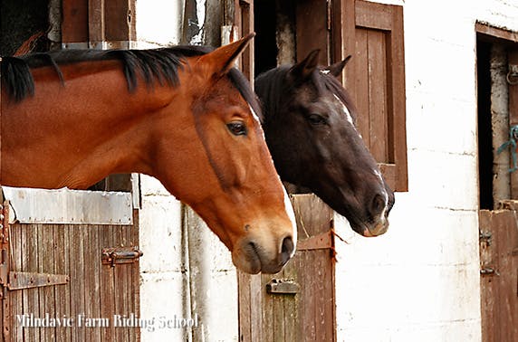Milndavie Farm Riding Centre