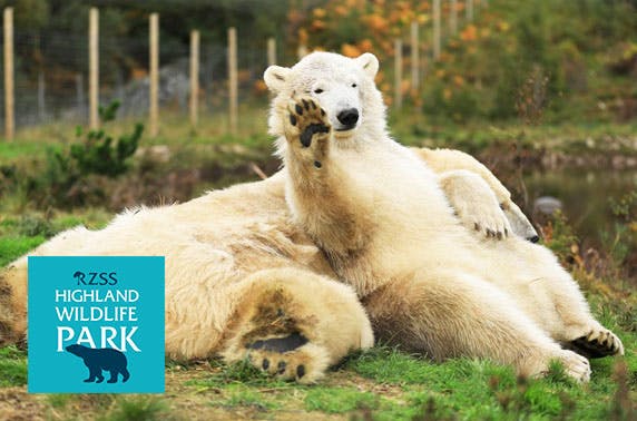 The Highland Wildlife Park