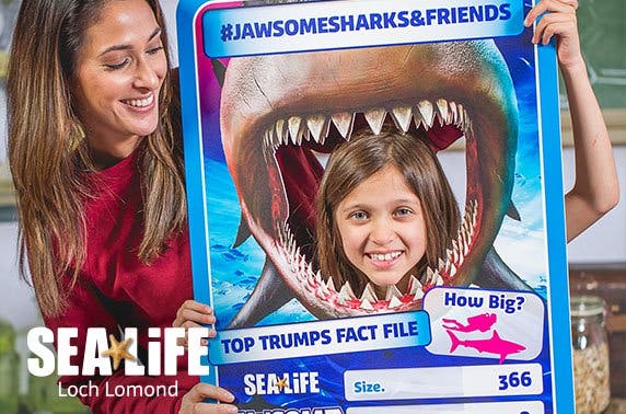 Loch Lomond Sea Life Centre