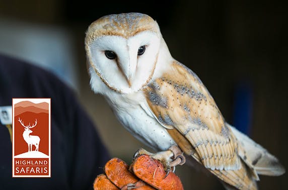 Highland Safaris