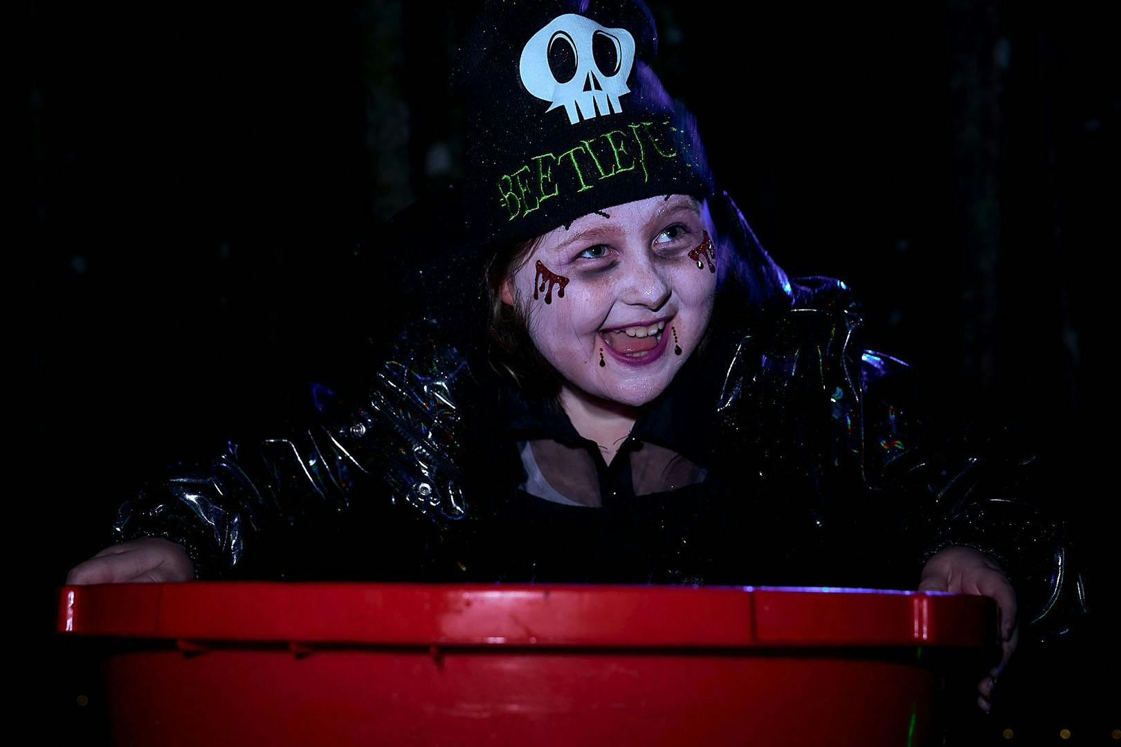 Auchingarrich Wildlife and Adventure Park