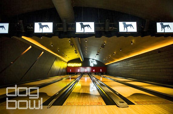 Dog Bowl