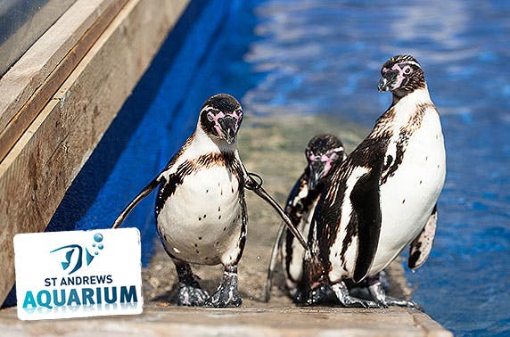 St Andrews Aquarium