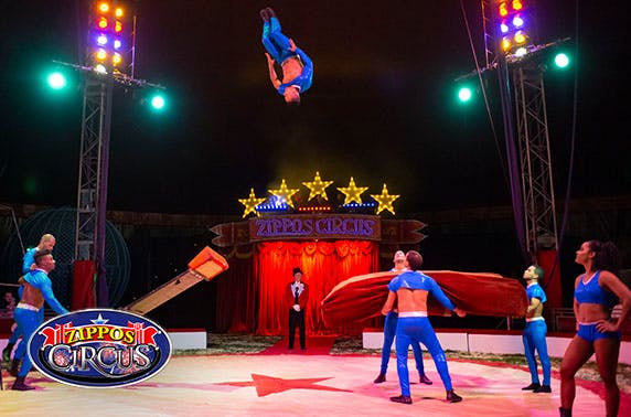 Zippos Circus