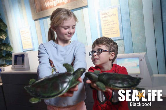 SEA LIFE Blackpool