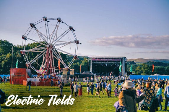 Electric Fields Festival