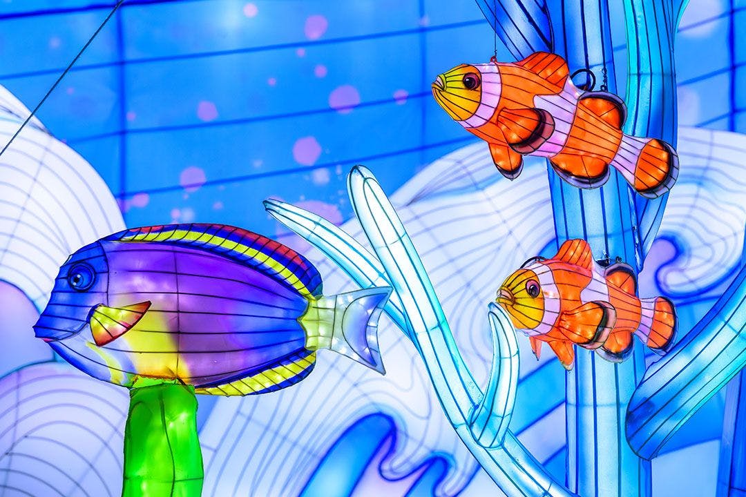 Edinburgh Zoo's Giant Lanterns