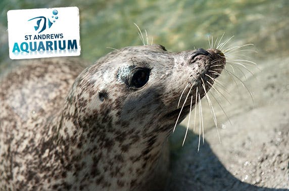 St Andrews Aquarium
