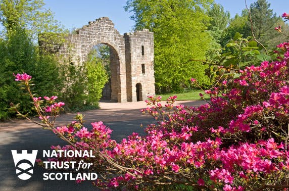 Culzean Castle & Country Park 