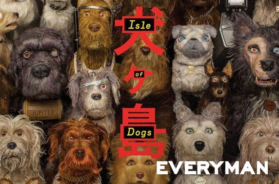 Everyman Cinema