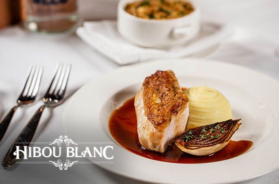 Hibou Blanc