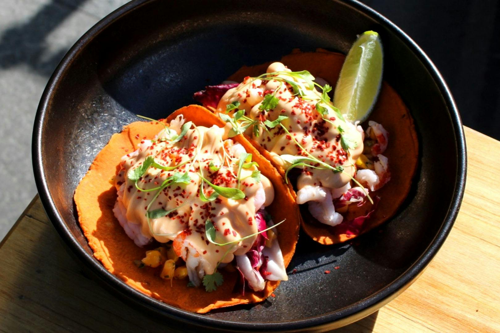 Exile Cooks at Bauhaus